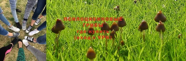 скорость mdpv Новодвинск