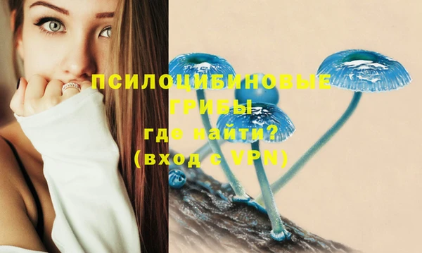 скорость mdpv Новодвинск