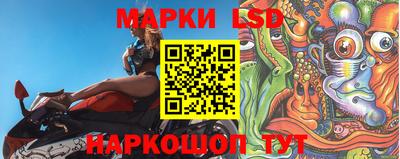 сатива Краснодар
