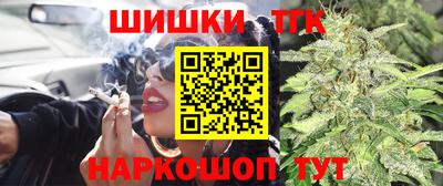 сатива Краснодар