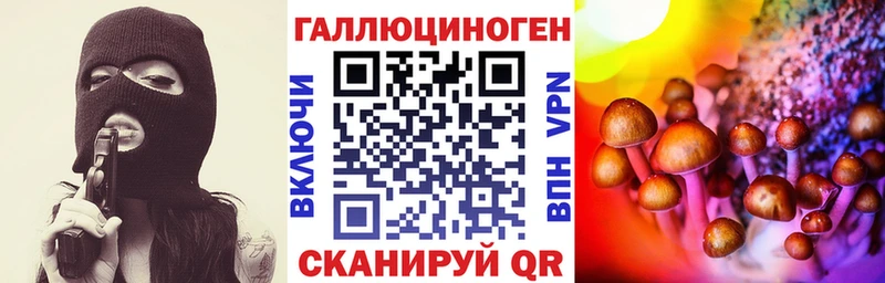 Псилоцибиновые грибы Cubensis  Саки 